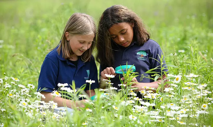 Mammals & Reptiles, or Insect Science Day Camp at West Michigan Academy of Environmental Science (50% Off) - Primary Image