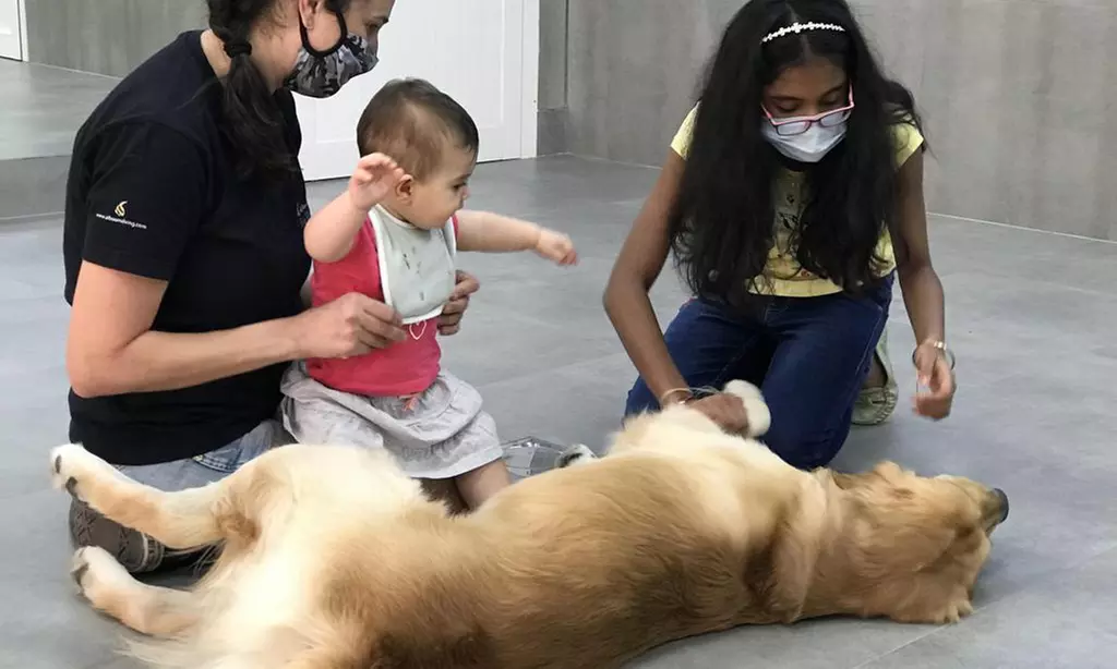 Extensive Pet Grooming Service