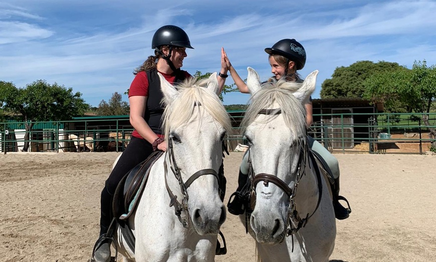 Image 10: Ruta de 1 hora a caballo para hasta 4 personas con opción a iniciación