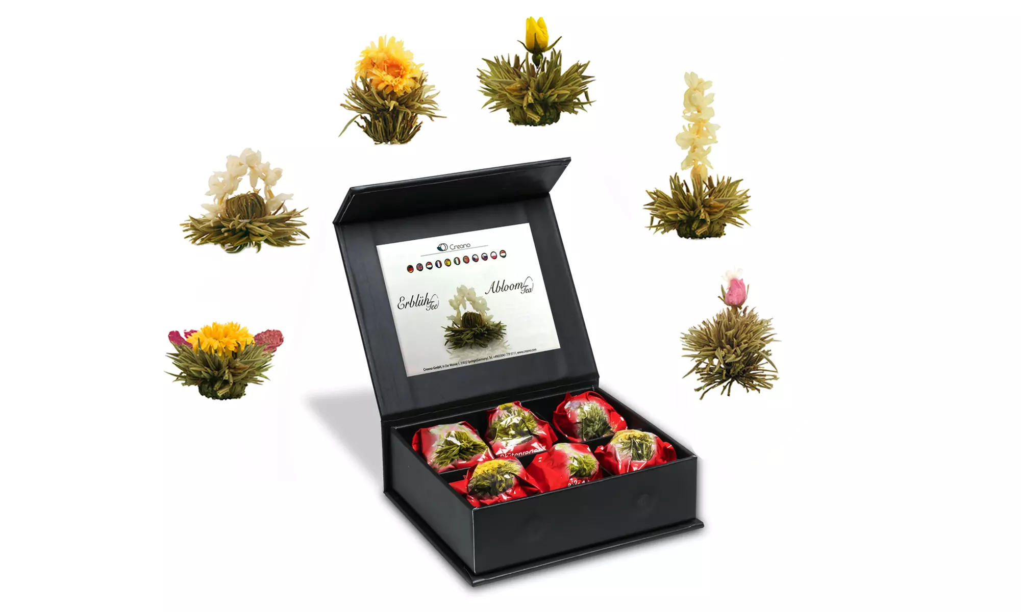 Lot de thés Creano Aloom - Primary Image