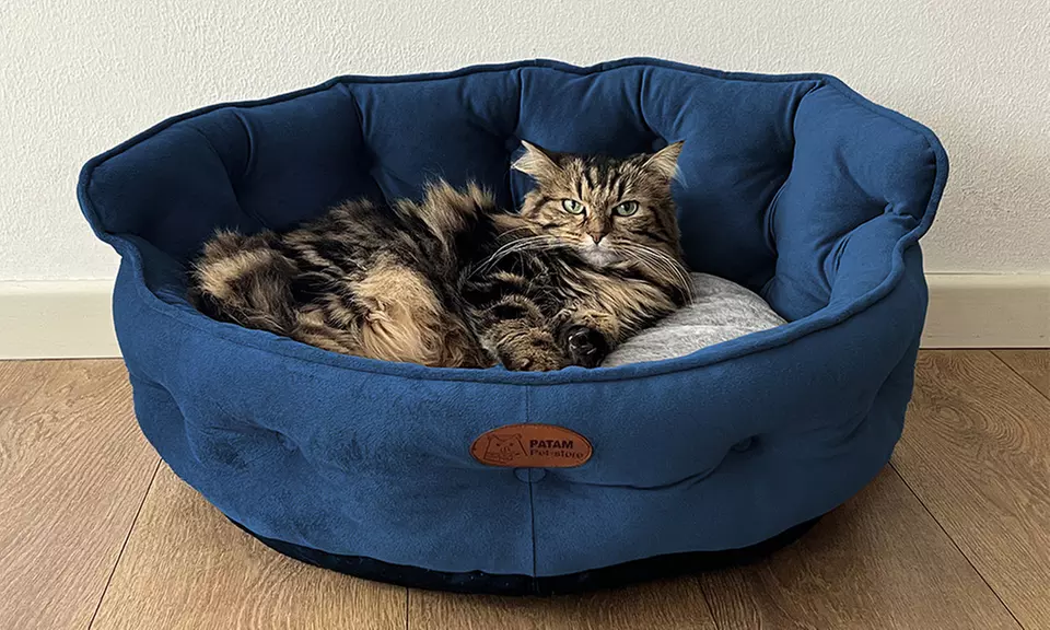 Cucce, lettini e divanetti per cani e gatti in vari modelli e misure