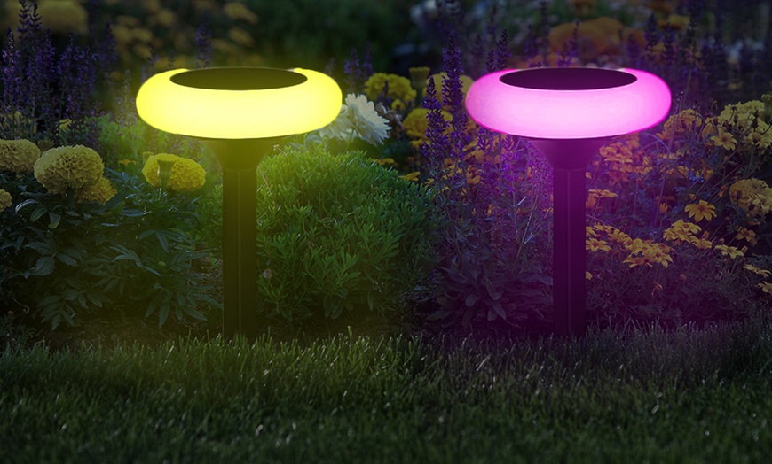 Image 1: Colour-Changing Solar Lights