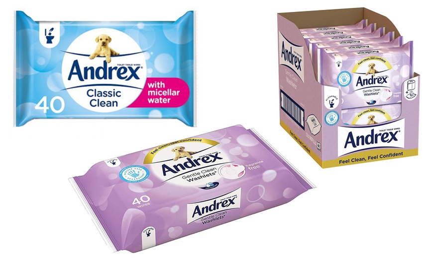 Image 1: Andrex Toilet Tissue Wipes