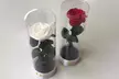 Roses: 1 Artificial $49 or Preseved + Teddy Bear $49, or Set of Artificial $109 or Fresh $119 at Luxe Floral Design Co. - Second Medium