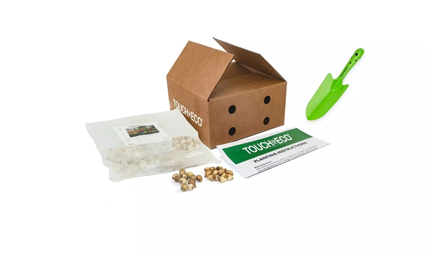 Gentle Glory of the Snow Flowers (15 , 30 , & 60 Bulbs with Planting Tool)