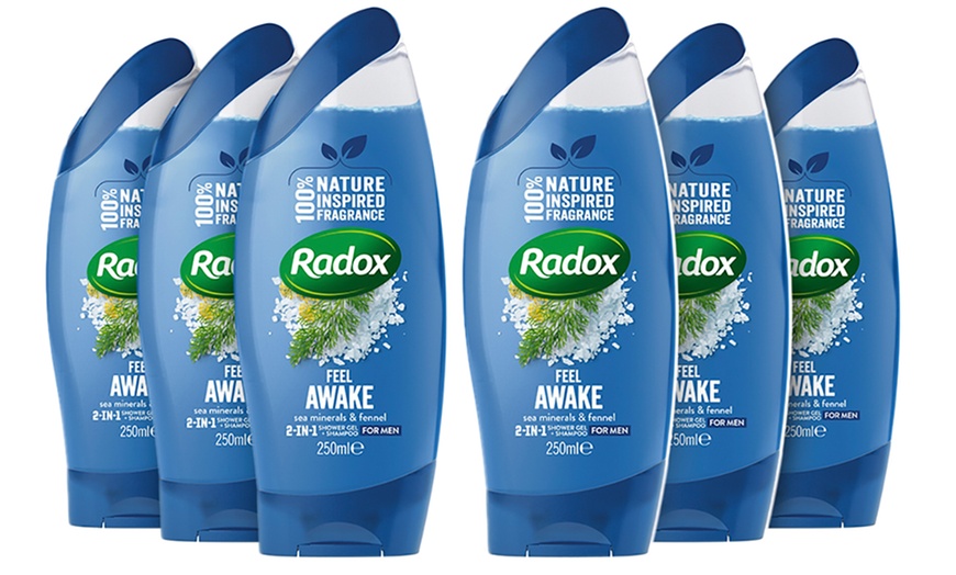 Image 4: Radox Shower Gels 250ml