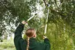Garden Gear Tools - Telescopic Hedge Hears, Bypass and Anvil Loppers - Image 4