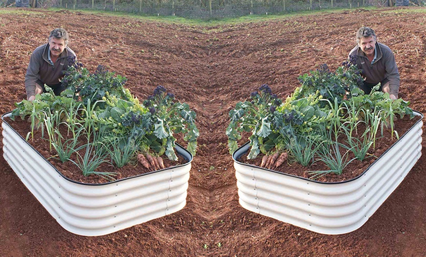 Image 7: One or Two Original Veggie Beds