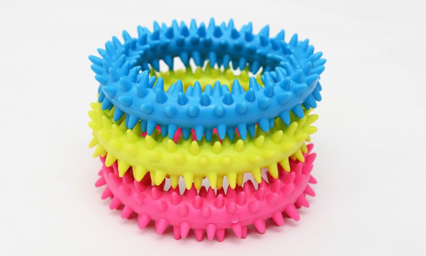 Image 9: Rubber Chew Toy