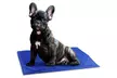 Tapis rafraîchissant pour chiens et chats, taille au choix - Second Medium