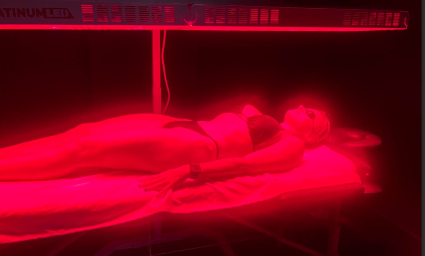 Image 2: 45-Minute Cold Plunge, Sauna and Red Light Therapy Sessions 