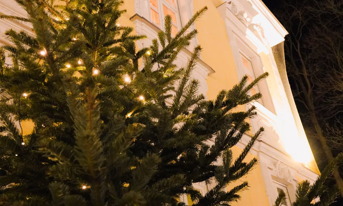 1 Std. Eisstockschießen im Winterbiergarten für bis zu 12 Personen