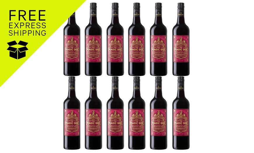 Image 1: Magic Box Collection Spectacular Shiraz 2020 (12 Bottles)