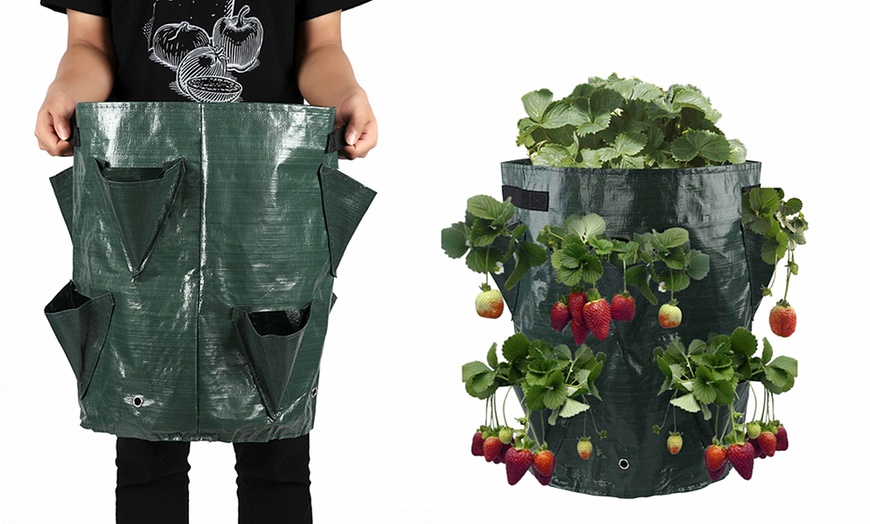 Image 1: Heavy Duty Plant Bag