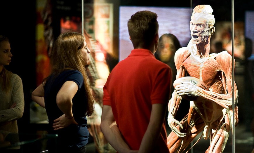 Image 14: Tickets BODY WORLDS Amsterdam