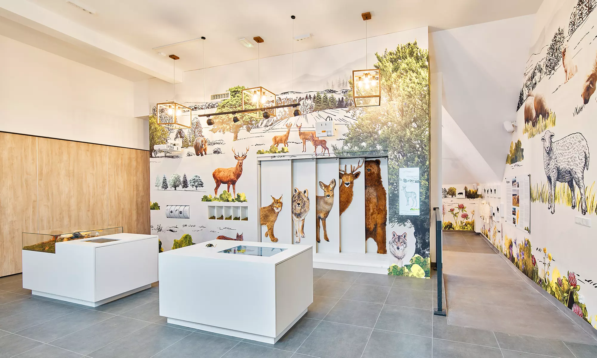 Odkryj magię natury w Centrum Przyrodniczo-Edukacyjnym Brama w Gorce