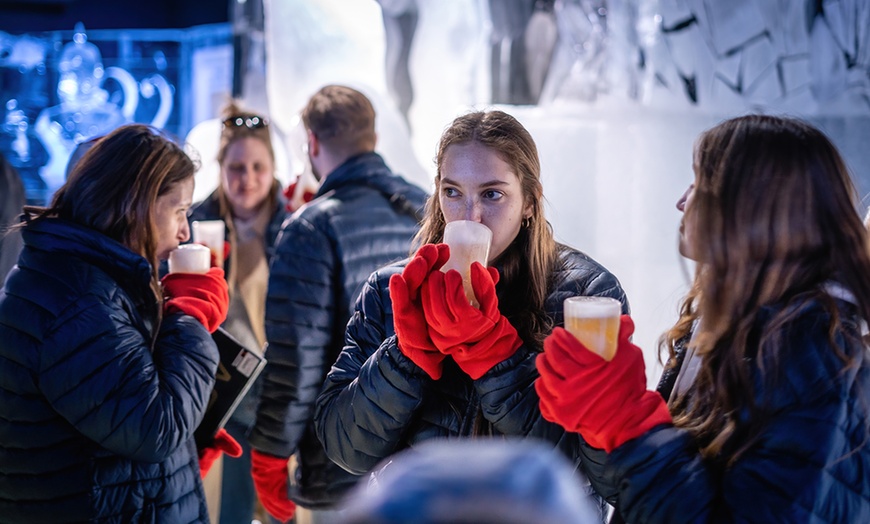 Image 2: Ticket für die Ice Bar + 3 Drinks