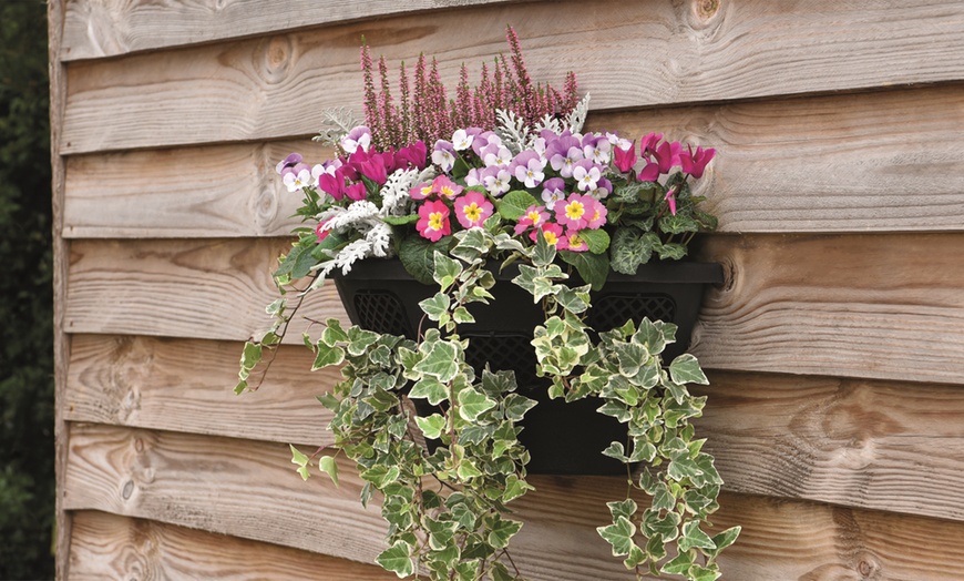 Image 1: One, Two or Four Garden Wall Basket Planters