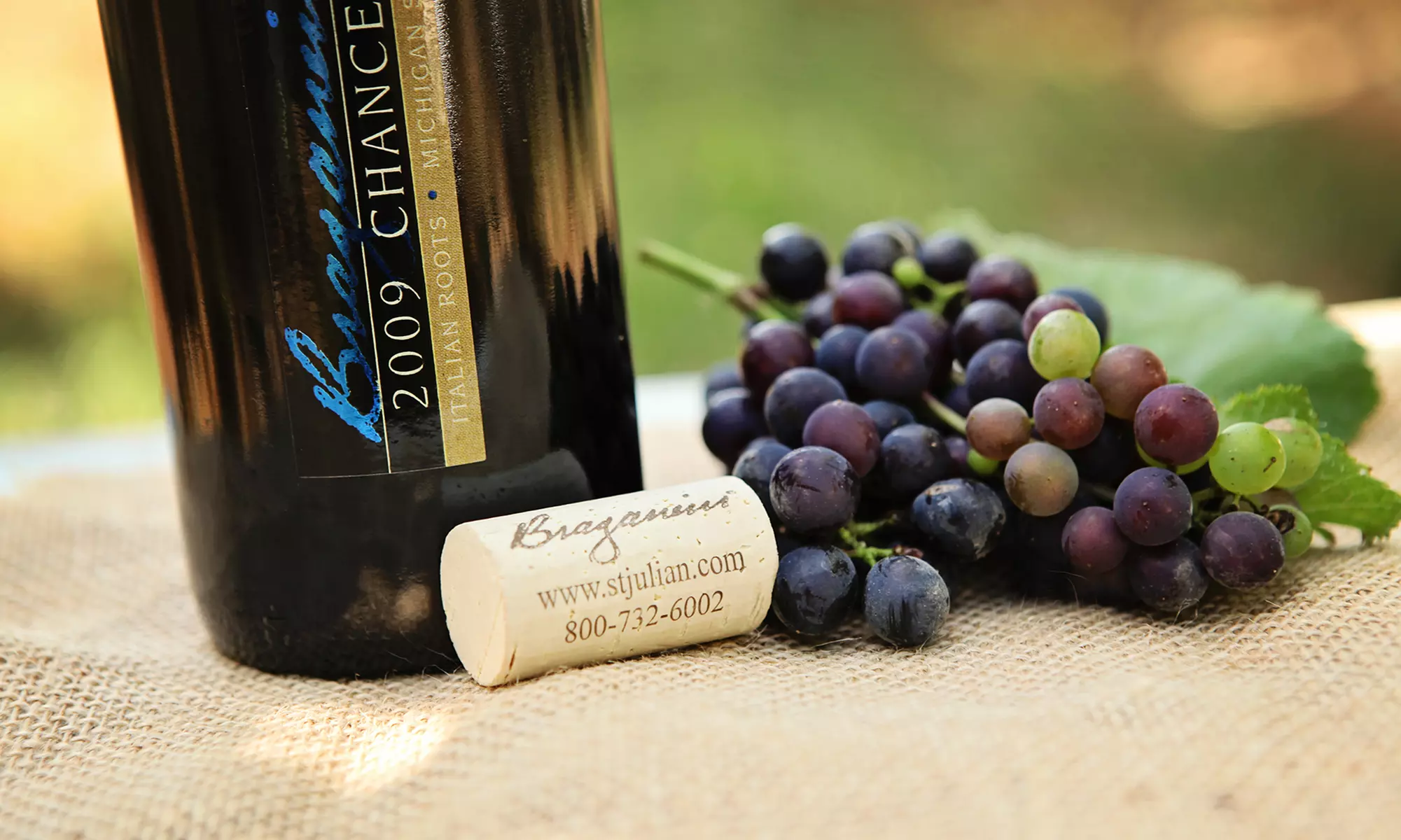 Up to 48% Off Wine and Choclolate Tasting from St Julian Winery - Primary Image