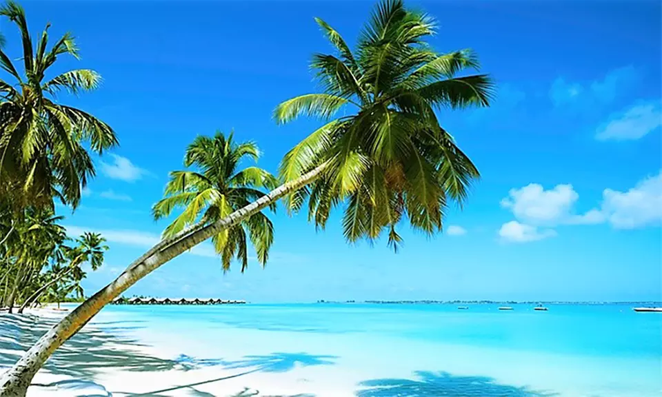 ✈ Mauritius, Belle Mare: 7 notti con volo A/R da Milano, Roma o Bologna, presso Hotel Eden Villa - Prezzo a persona - Primary Image