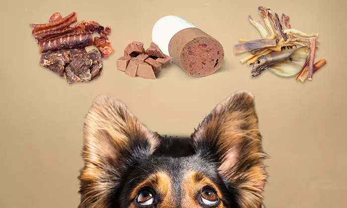 Wertgutschein über 30 € oder 50 € anrechenbar auf Hundefutter und das gesamte Sortiment des Onlineshops Bonali - Primary Image