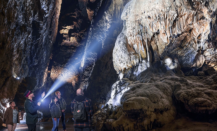 Image 18: Billet PassHan avec accès aux Grottes de Han et au Parc Animalier