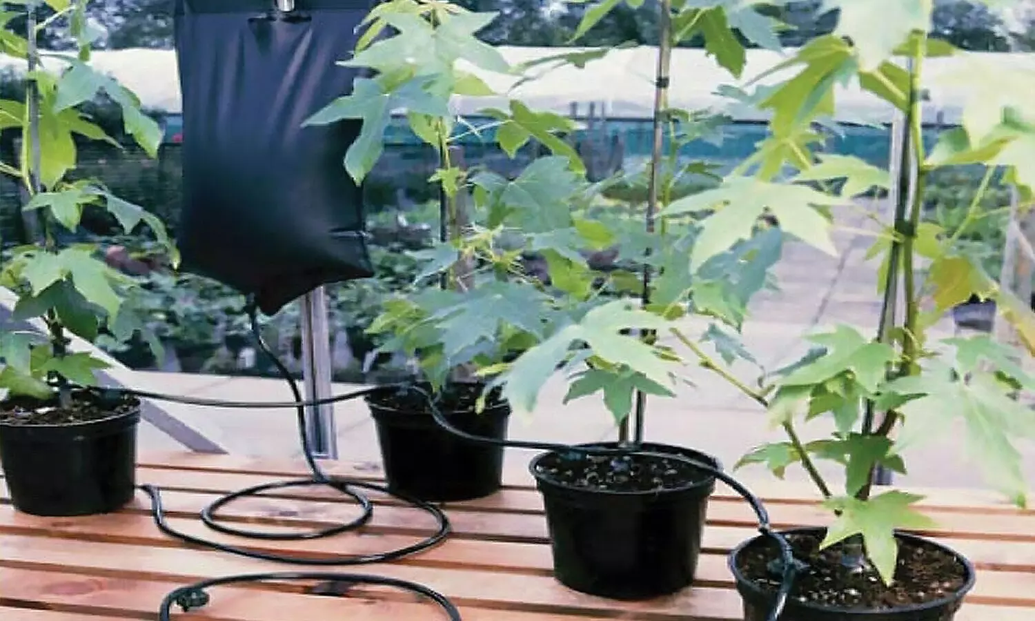 1 ou 2 systèmes d'arrosage de jardin goutte à goutte de 10 L en plastique - Primary Image