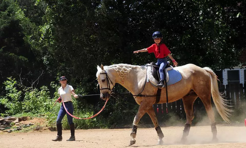 Camp for One Student at Little Burgundy Farm (Up to 41% Off). Five Dates Available. - Primary Image