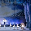 Image 5: Swan Lake: 1 Ticket am 30. oder 31.05.2025 um 20 Uhr