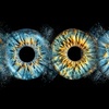 Image 1: Custom Iris Photo Art For Couples, Families or Pets