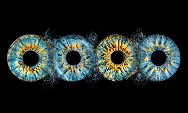 Custom Iris Photo Art For Couples, Families or Pets