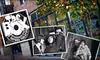 $5 for Two Tickets to a Duke City Improv Festival Show at The Box Performance Space ($12 Value)