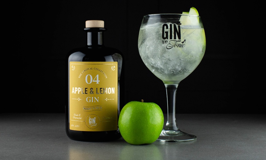 Image 5: The Gin To My Tonic Show