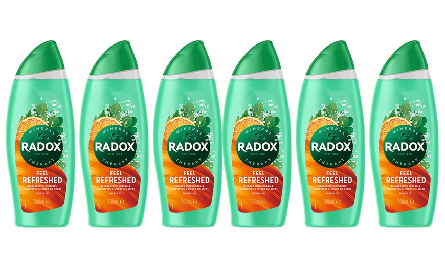 Image 4: 2, 3 ou 6 gels de douche 'Feel Refreshed' de Radox