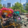 Image 22: Central Park Pedicab Tour: Classic, Deluxe or Elite PediCab Tour