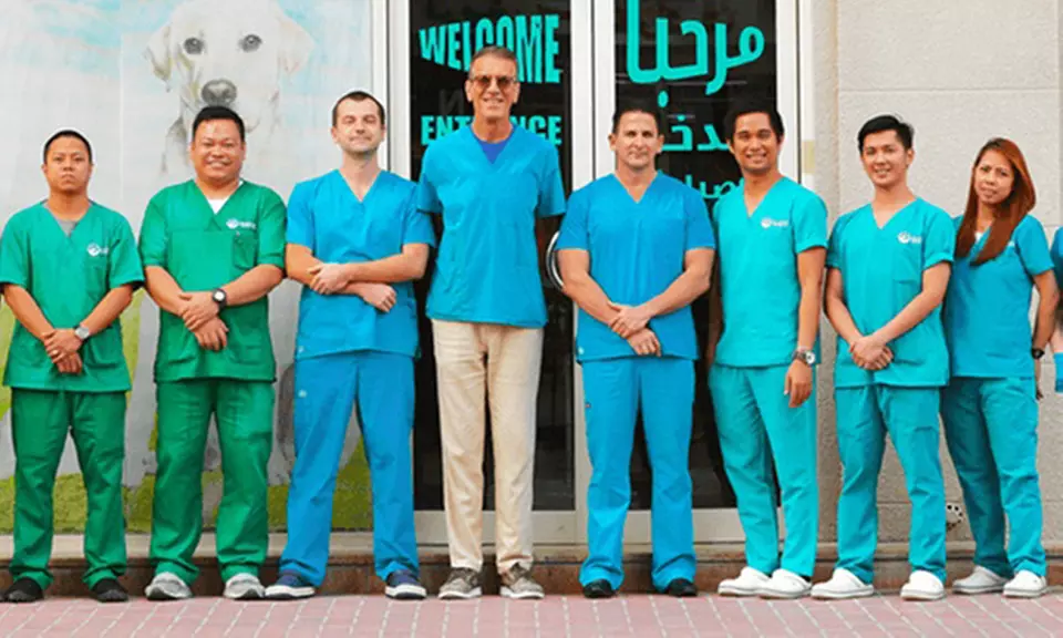 Veterinary Examination at Pet Connection Veterinary Clinic