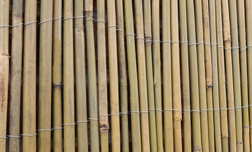 Image 3: Bamboo Cane Screen Roll