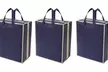 Up to Four Travel Shoe Organisers - Second Medium