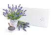 2er- oder 4er-Pack viskoelastische Kissen mit Lavendel-Füllung - Second Medium
