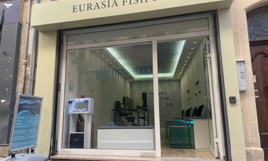 Image 3: Jusqu'à 30% de remise sur Pédicure - Poissons chez Eurasia Fish Spa