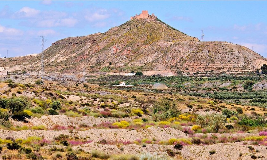 Image 13: Roquetas de Mar, descubre el mejor rincón del sur
