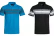 2-Pack Hawks Bay Striped Men's Spring Polos - Second Medium