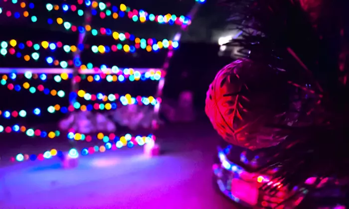 Admission to Winter Lights Kingdom (Up to 40% Off) - Primary Image