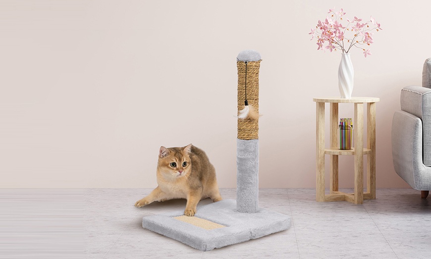 Image 57: Griffoir pour chat