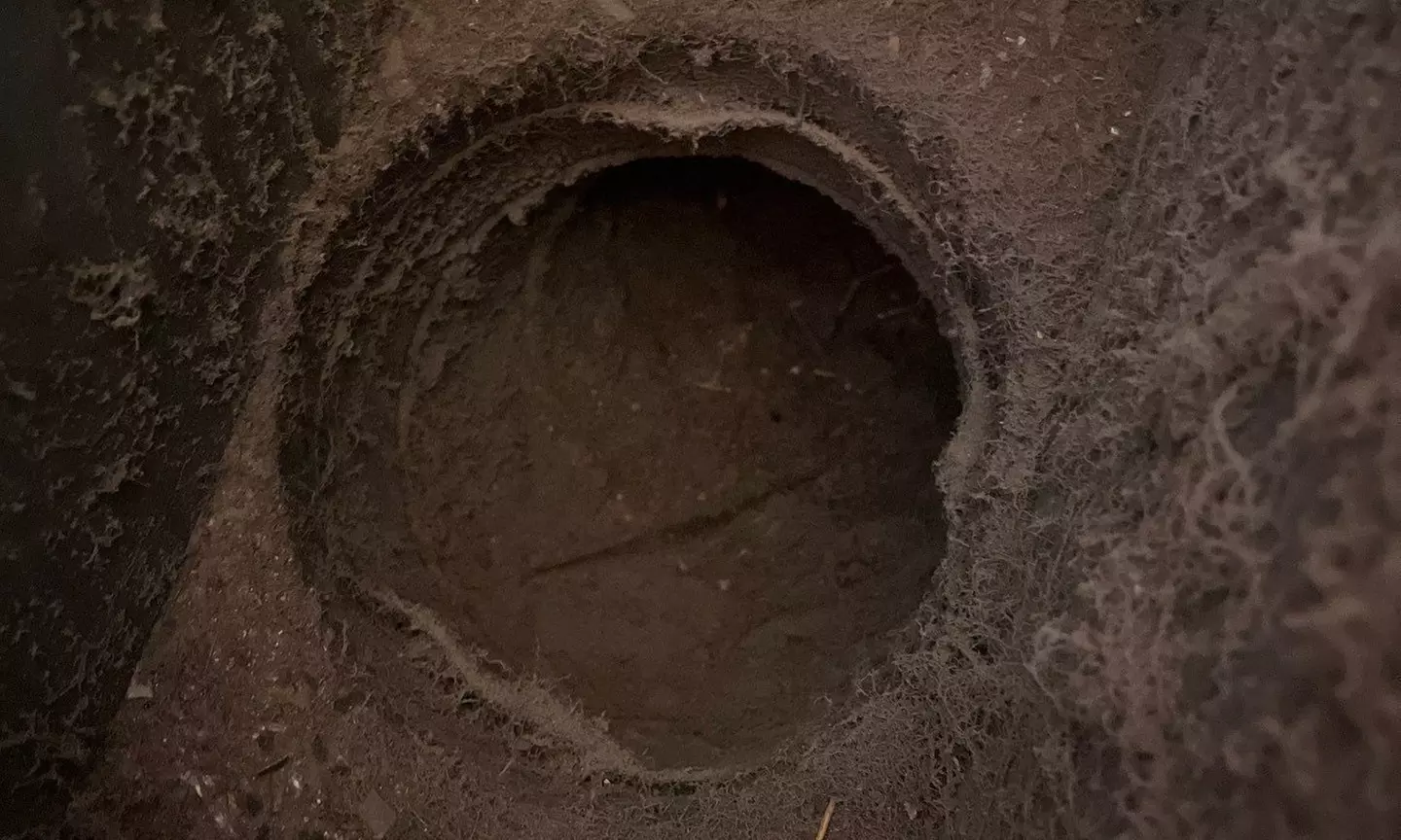 Dust-Free Living: Whole-Home Air-Duct Cleaning & Leak Testing 