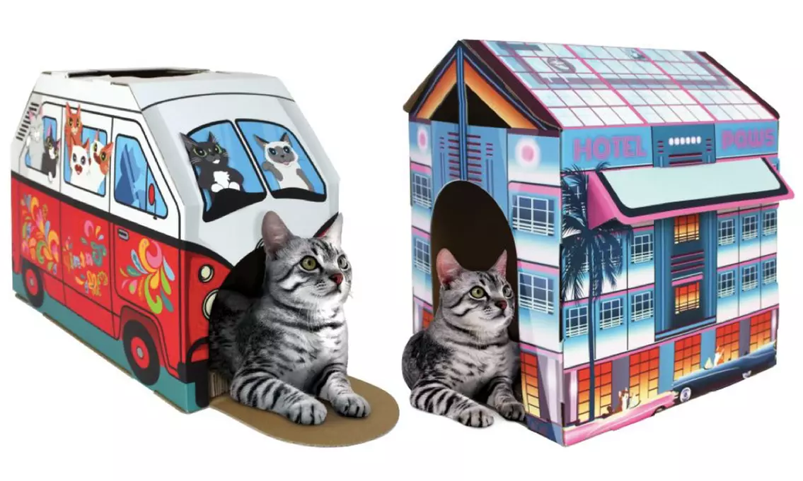 Festive Cat House and Cat Scratcher with Catnip - Primary Image