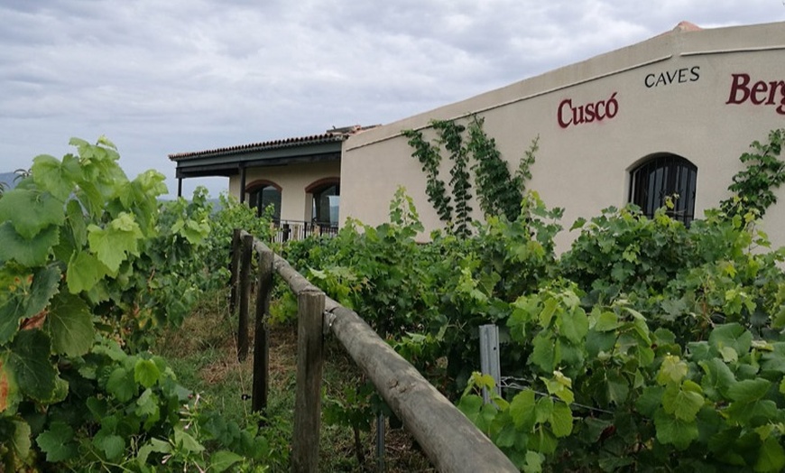 Image 1: Visita a bodega con cata de 3 vinos