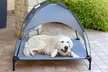 Lit surélevé "Sunny" avec toit pour protéger de la pluie et du soleil, pour chien - Image 2