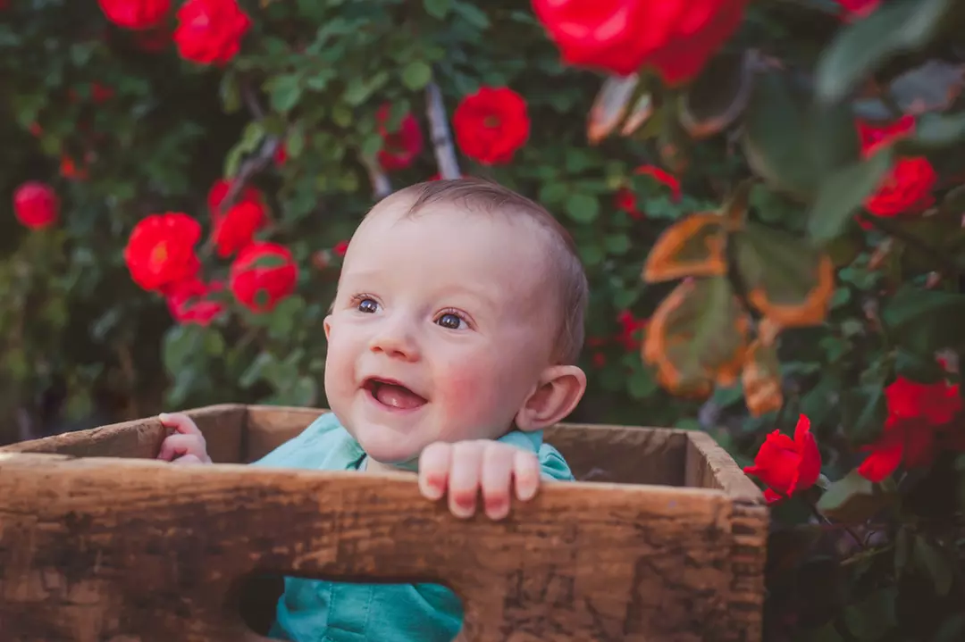 On-Location Photo Shoot Packages from Valerie Kate Photography (Up to 90% Off). Two Options Available. - Primary Image