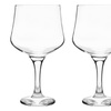 Image 11: Rink Drink Spanish Gin Glasses